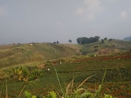  Terreno (Parcela) en venta en Cianjur, West Jawa, Cianjur, Cianjur, West Jawa