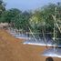  Terreno (Parcela) en venta en Cianjur, West Jawa, Cianjur, Cianjur, West Jawa