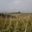  Terreno (Parcela) en venta en Cianjur, West Jawa, Cianjur, Cianjur, West Jawa