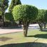  Terreno (Parcela) en venta en Huitzilac, Morelos, Huitzilac