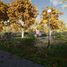  Land for sale in Tuxpan, Jalisco, Tuxpan