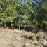  Terreno (Parcela) en venta en Cardenal Caro, Libertador General Bernardo O'Higgins, Pichilemu, Cardenal Caro