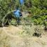  Terreno (Parcela) en venta en Cardenal Caro, Libertador General Bernardo O'Higgins, Pichilemu, Cardenal Caro