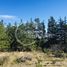  Terreno (Parcela) en venta en Cardenal Caro, Libertador General Bernardo O'Higgins, Pichilemu, Cardenal Caro