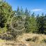 Terreno (Parcela) en venta en Cardenal Caro, Libertador General Bernardo O'Higgins, Pichilemu, Cardenal Caro