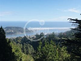  Terreno (Parcela) en venta en Cardenal Caro, Libertador General Bernardo O'Higgins, Pichilemu, Cardenal Caro