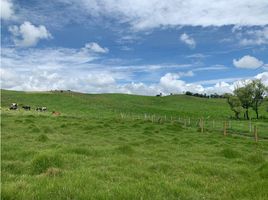  Terreno (Parcela) en venta en La Union De Sucre, Antioquia, La Union De Sucre