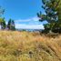  Land for sale in Chile, Puerto Montt, Llanquihue, Los Lagos, Chile