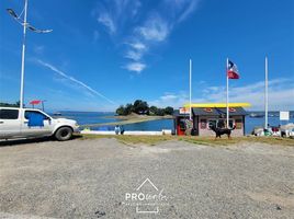  Land for sale in Chile, Puerto Montt, Llanquihue, Los Lagos, Chile