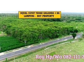  Land for sale in Lampung Selatan, Lampung, Kalianda, Lampung Selatan