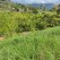  Land for sale in Caldas, Manizales, Caldas