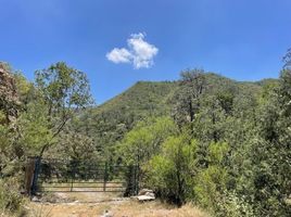  Land for sale in Iturbide, Nuevo Leon, Iturbide