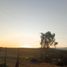  Land for sale in Traiguen, Araucania, Traiguen