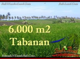  Land for sale in Selemadeg, Tabanan, Selemadeg