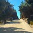  Terreno (Parcela) en venta en Chile, Algarrobo, San Antonio, Valparaíso, Chile