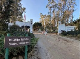  Terreno (Parcela) en venta en Chile, Algarrobo, San Antonio, Valparaíso, Chile