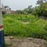  Land for rent in Cuauhtemoc, Colima, Cuauhtemoc, Colima