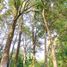 Land for sale in Chile, Puerto Montt, Llanquihue, Los Lagos, Chile