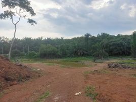  Terreno (Parcela) en venta en Pedas, Rembau, Pedas