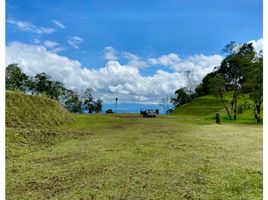 Terrain à vendre à Rionegro, Antioquia, Rionegro, Antioquia
