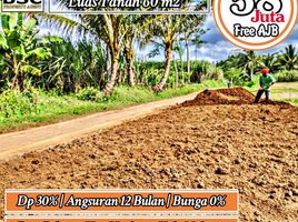  Land for sale in Kepanjen, Malang Regency, Kepanjen