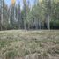  Land for sale in Chile, Requinao, Cachapoal, Libertador General Bernardo Ohiggins, Chile