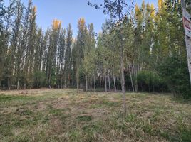  Land for sale in Chile, Requinao, Cachapoal, Libertador General Bernardo Ohiggins, Chile