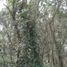  House for sale in Esteban Echeverria, Buenos Aires, Esteban Echeverria