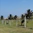  Land for sale in Pajapan, Veracruz, Pajapan