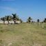  Land for sale in Pajapan, Veracruz, Pajapan