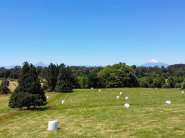  Terreno (Parcela) en venta en Chile, Entre Lagos, Osorno, Los Lagos, Chile