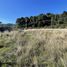  Terreno (Parcela) en venta en Valdivia, Los Ríos, Mariquina, Valdivia