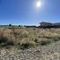  Terreno (Parcela) en venta en Valdivia, Los Ríos, Mariquina, Valdivia