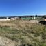  Terreno (Parcela) en venta en Valdivia, Los Ríos, Mariquina, Valdivia