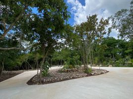  Terreno (Parcela) en venta en Merida, Yucatán, Merida