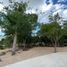  Terreno (Parcela) en venta en Merida, Yucatán, Merida
