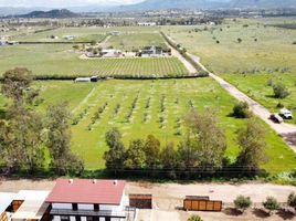  Terreno (Parcela) en venta en Ensenada, Baja California, Ensenada