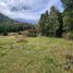 Terrain for sale in Ancud, Chiloe, Ancud