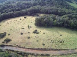  Terrain for sale in Ancud, Chiloe, Ancud
