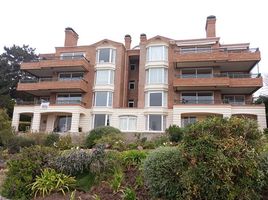 4 침실 콘도을(를) 샌 안토니오, 발파라 이소에서 판매합니다., Santo Domingo, 샌 안토니오