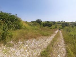  Land for sale in Amacuzac, Morelos, Amacuzac