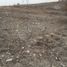  Land for sale in Amacuzac, Morelos, Amacuzac