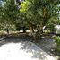  Land for rent in Tuxtla Gutierrez, Chiapas, Tuxtla Gutierrez, Chiapas
