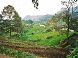  Land for sale in Mojokerto, East Jawa, Trawas, Mojokerto