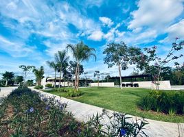  Terreno (Parcela) en venta en Merida, Yucatán, Merida, Yucatán