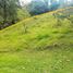  Land for sale in Azuay, Cuenca, Cuenca, Azuay