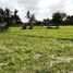  Land for sale in Sukawati, Gianyar, Sukawati