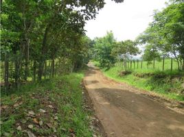  Land for sale in La Chorrera, Panama Oeste, Iturralde, La Chorrera