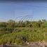  Land for sale in Miguel Aleman, Tamaulipas, Miguel Aleman