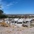  Land for sale in Hermosillo, Sonora, Hermosillo